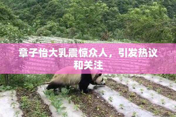 章子怡大乳震惊众人，引发热议和关注
