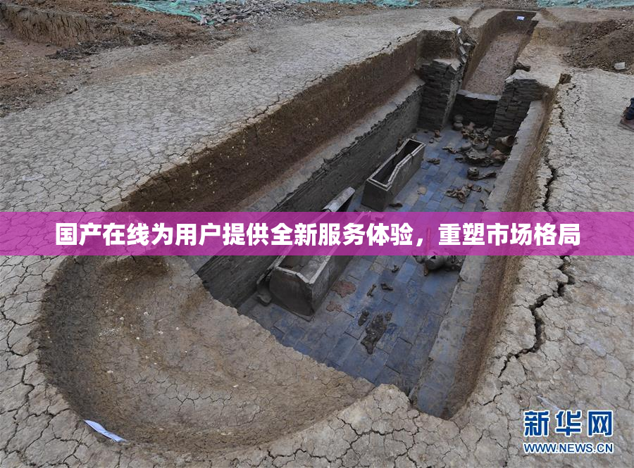 国产在线为用户提供全新服务体验，重塑市场格局