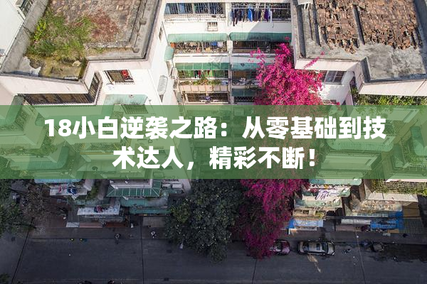 18小白逆袭之路：从零基础到技术达人，精彩不断！