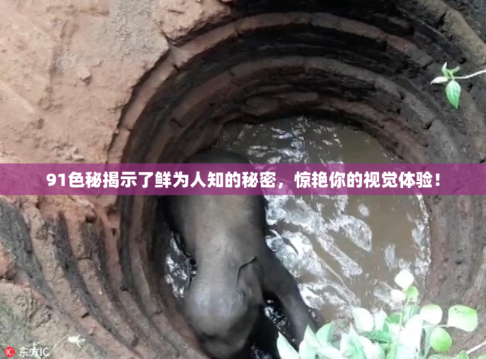 91色秘揭示了鲜为人知的秘密，惊艳你的视觉体验！
