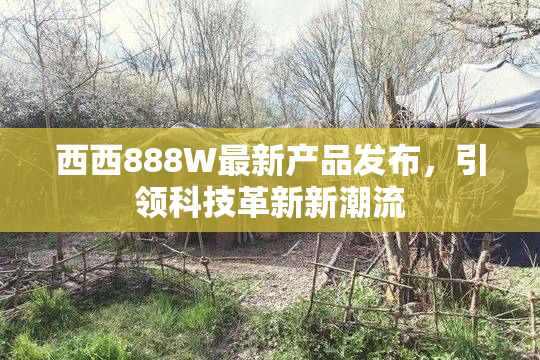 西西888W最新产品发布，引领科技革新新潮流