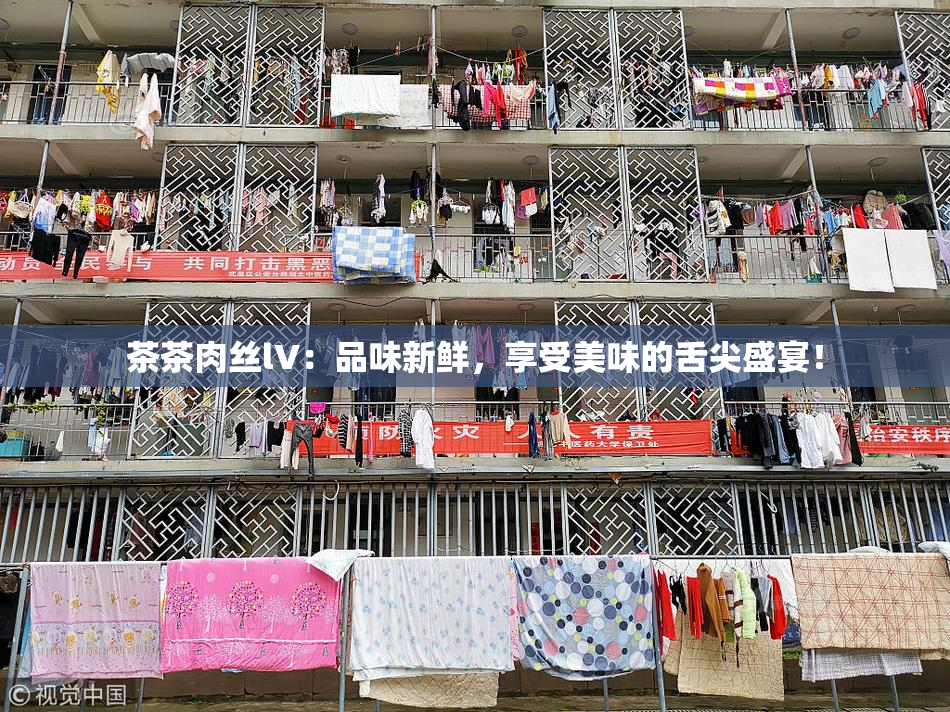 茶茶肉丝lV：品味新鲜，享受美味的舌尖盛宴！