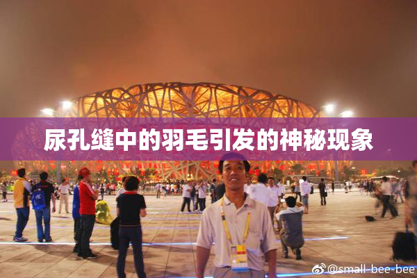 尿孔缝中的羽毛引发的神秘现象