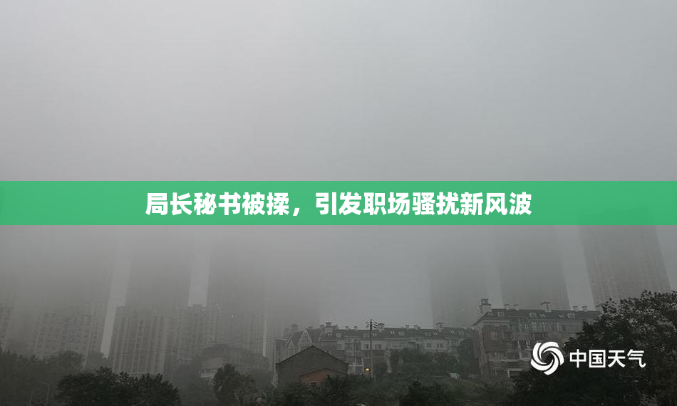 局长秘书被揉，引发职场骚扰新风波