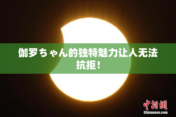 伽罗ちゃん的独特魅力让人无法抗拒！