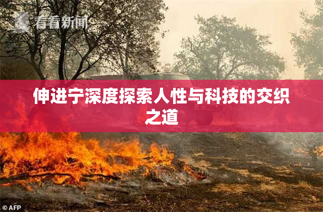 伸进宁深度探索人性与科技的交织之道