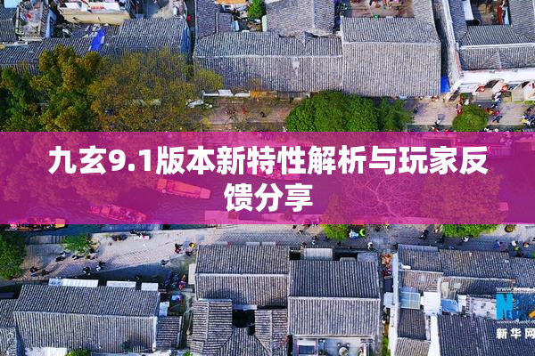 九玄9.1版本新特性解析与玩家反馈分享