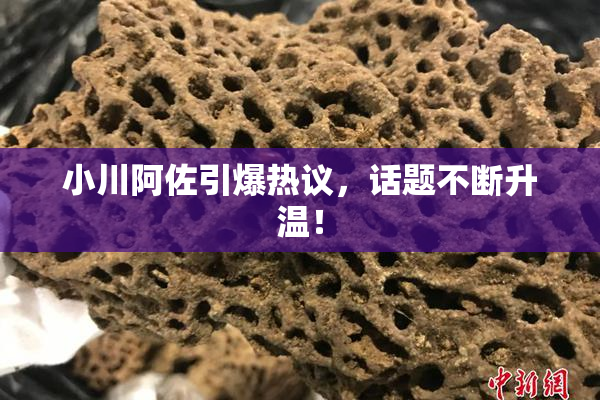 小川阿佐引爆热议，话题不断升温！