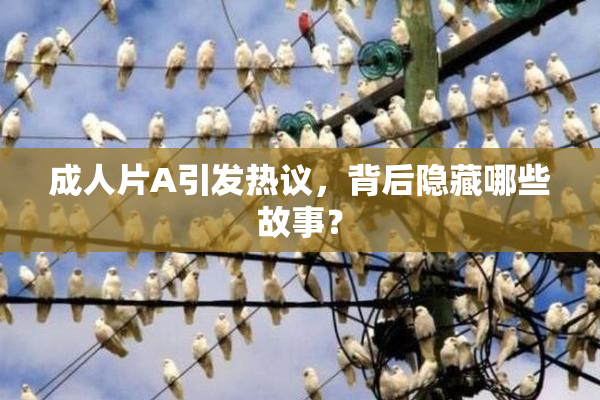 成人片A引发热议，背后隐藏哪些故事？
