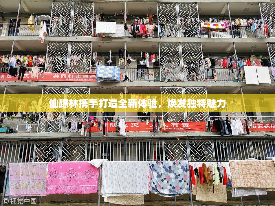 仙踪林携手打造全新体验，焕发独特魅力