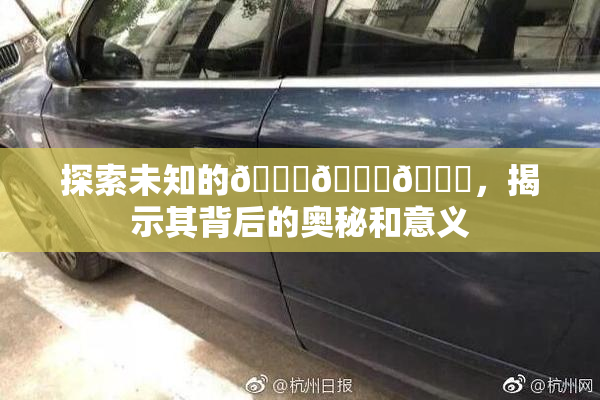探索未知的🍆🍑🔞，揭示其背后的奥秘和意义