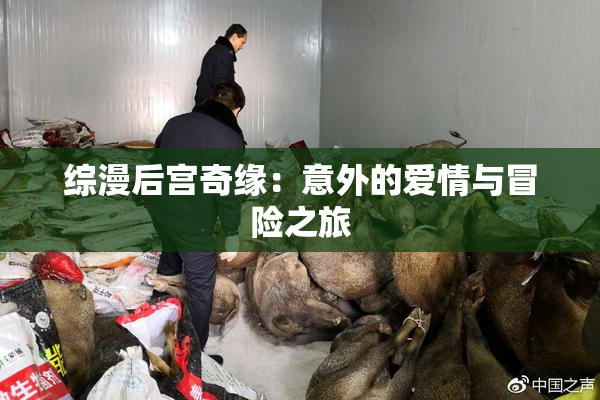 综漫后宫奇缘：意外的爱情与冒险之旅