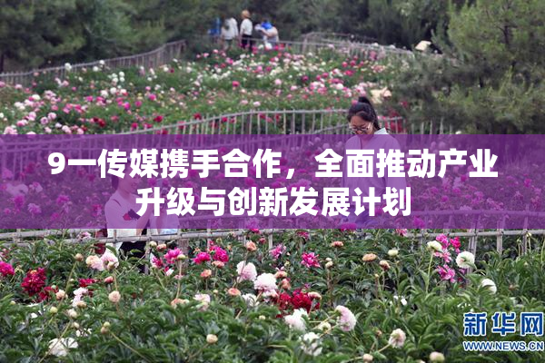 9一传媒携手合作，全面推动产业升级与创新发展计划
