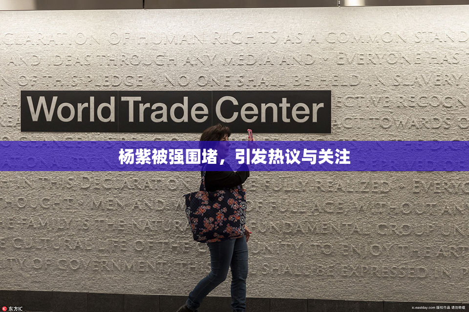 杨紫被强围堵，引发热议与关注