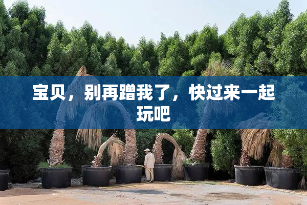 宝贝，别再蹭我了，快过来一起玩吧