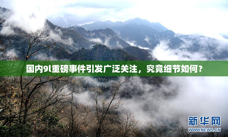 国内9l重磅事件引发广泛关注，究竟细节如何？