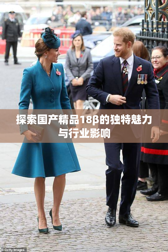 探索国产精品18β的独特魅力与行业影响