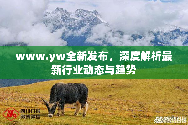 www.yw全新发布，深度解析最新行业动态与趋势