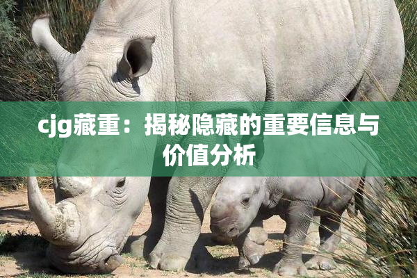 cjg藏重：揭秘隐藏的重要信息与价值分析