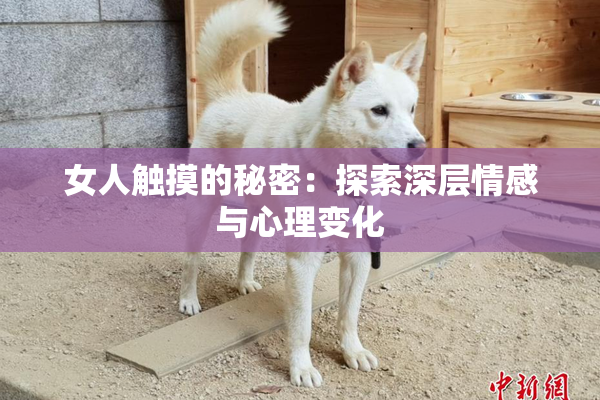 女人触摸的秘密：探索深层情感与心理变化