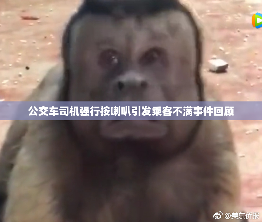 公交车司机强行按喇叭引发乘客不满事件回顾