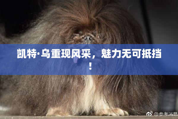 凯特·乌重现风采，魅力无可抵挡！
