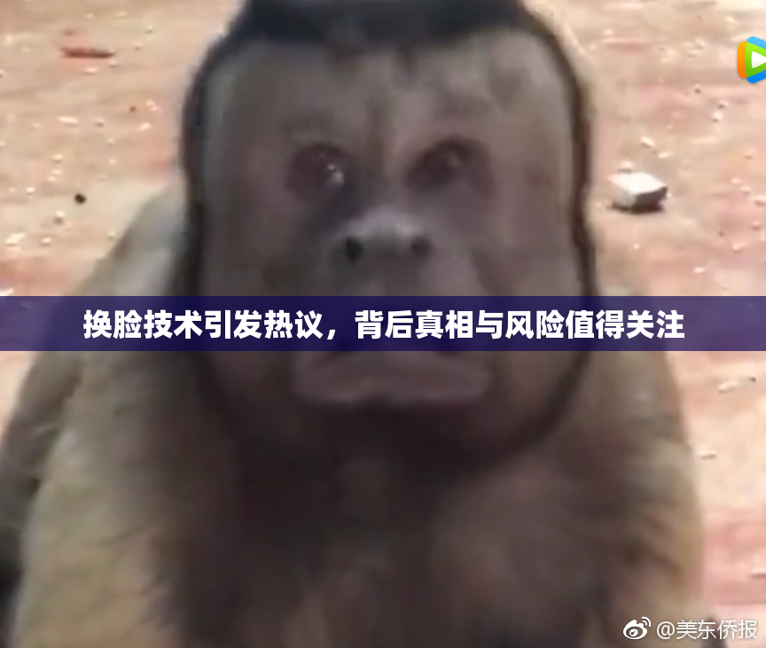 换脸技术引发热议，背后真相与风险值得关注