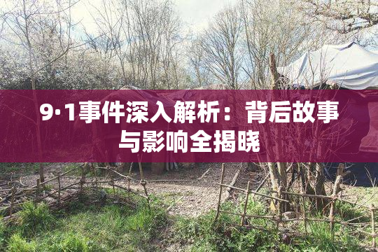 9·1事件深入解析：背后故事与影响全揭晓