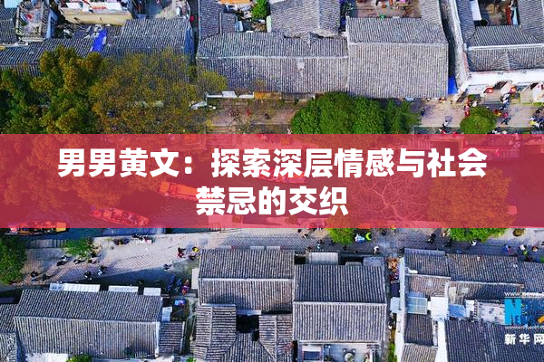男男黄文：探索深层情感与社会禁忌的交织