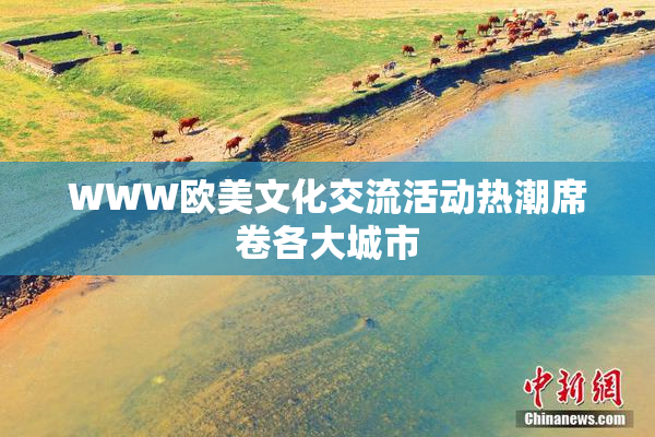 WWW欧美文化交流活动热潮席卷各大城市