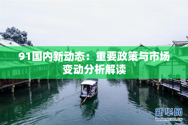 91国内新动态：重要政策与市场变动分析解读