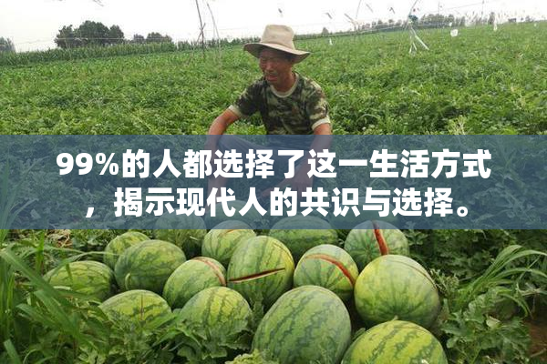 99%的人都选择了这一生活方式，揭示现代人的共识与选择。
