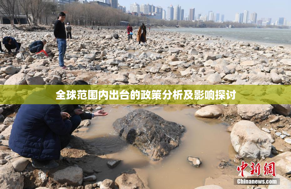 全球范围内出台的政策分析及影响探讨
