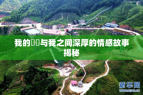 我的妺妺与我之间深厚的情感故事揭秘