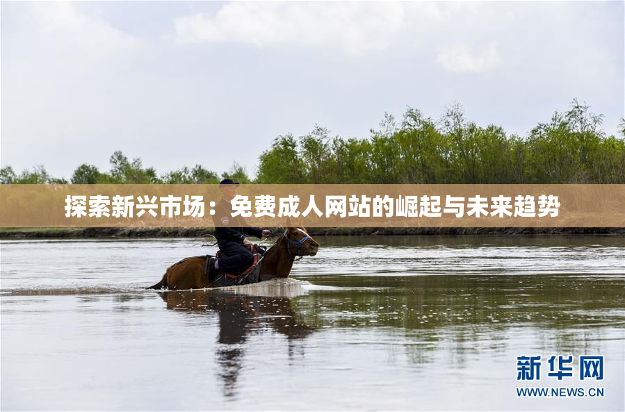 探索新兴市场：免费成人网站的崛起与未来趋势