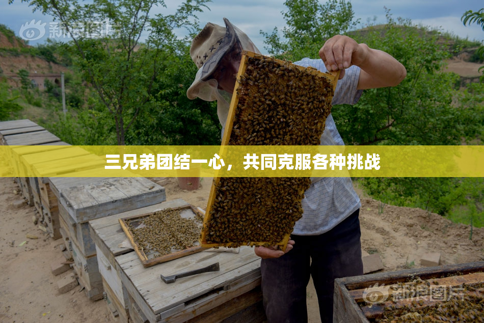 三兄弟团结一心，共同克服各种挑战