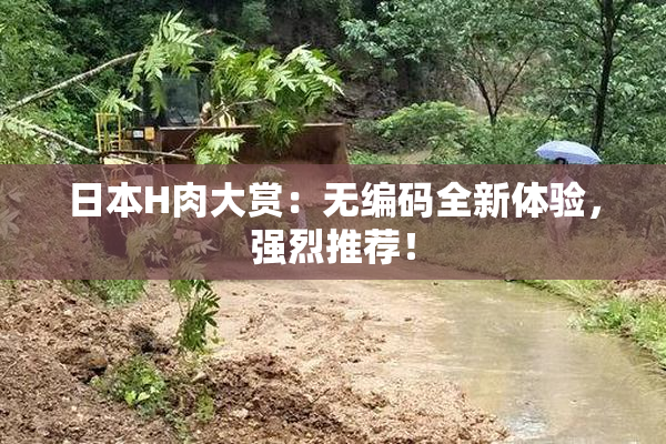 日本H肉大赏：无编码全新体验，强烈推荐！