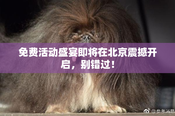 免费活动盛宴即将在北京震撼开启，别错过！