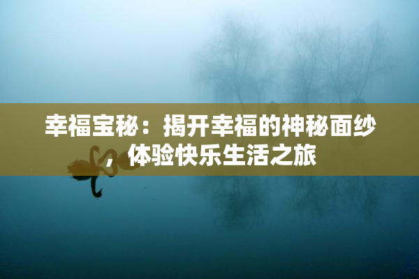 幸福宝秘：揭开幸福的神秘面纱，体验快乐生活之旅