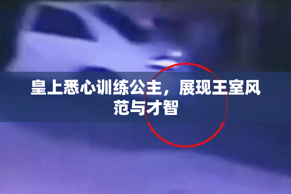 皇上悉心训练公主，展现王室风范与才智
