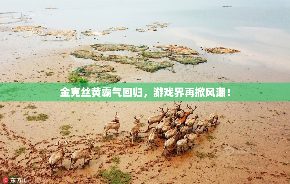 金克丝黄霸气回归，游戏界再掀风潮！