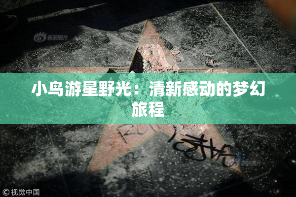 小鸟游星野光：清新感动的梦幻旅程