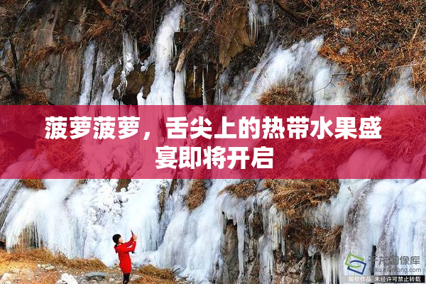 菠萝菠萝，舌尖上的热带水果盛宴即将开启