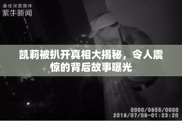 凯莉被扒开真相大揭秘，令人震惊的背后故事曝光