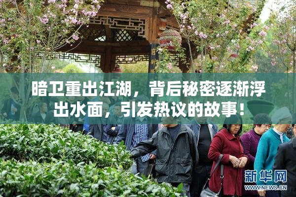 暗卫重出江湖，背后秘密逐渐浮出水面，引发热议的故事！