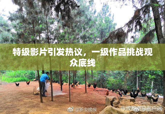 特级影片引发热议，一级作品挑战观众底线