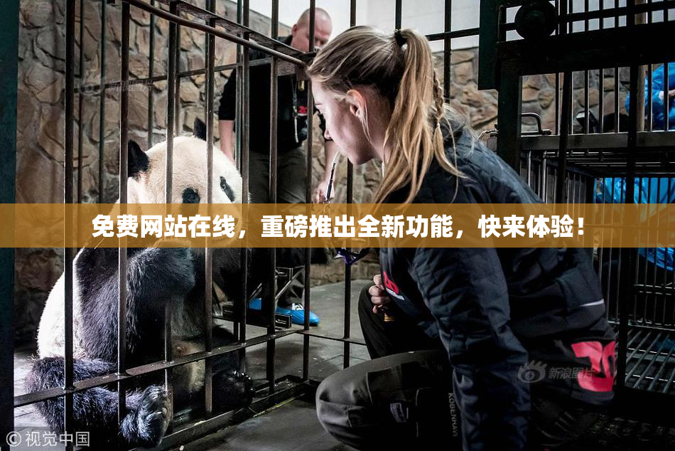 免费网站在线，重磅推出全新功能，快来体验！