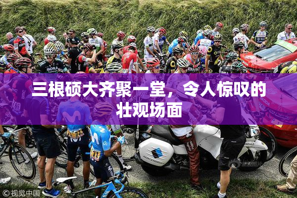 三根硕大齐聚一堂，令人惊叹的壮观场面