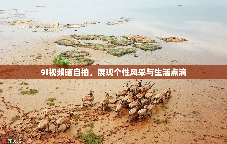 9l视频晒自拍，展现个性风采与生活点滴