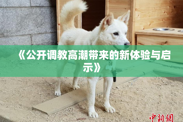 《公开调教高潮带来的新体验与启示》